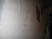 IMG_0260.JPG
