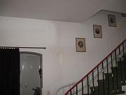 IMG_0263.JPG