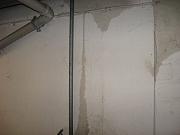 IMG 0276