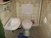 IMG 0282