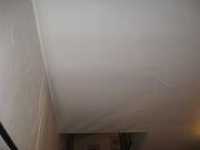 IMG 0295