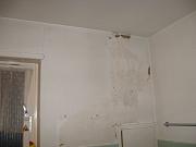 IMG 0298
