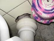 IMG 0336