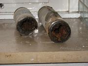 IMG 0339