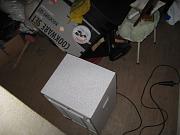IMG 0342