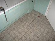 IMG 0347