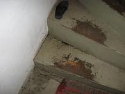 IMG 0357