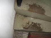 IMG 0358