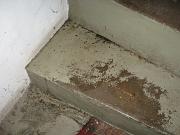 IMG 0360