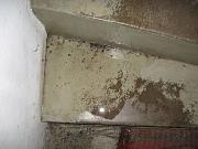 IMG 0361