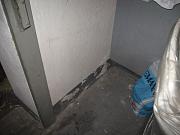 IMG 0367