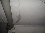 IMG 0368