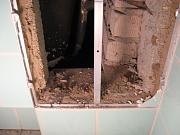 IMG 0372