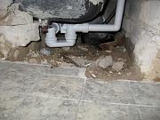 IMG 0392