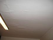 IMG 0402
