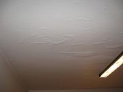 IMG 0403